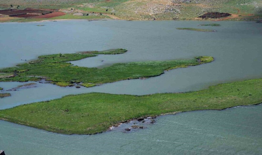 Adıyaman’da rüzgar ve değişken su seviyesinin etkisiyle sürekli yer değiştiren
