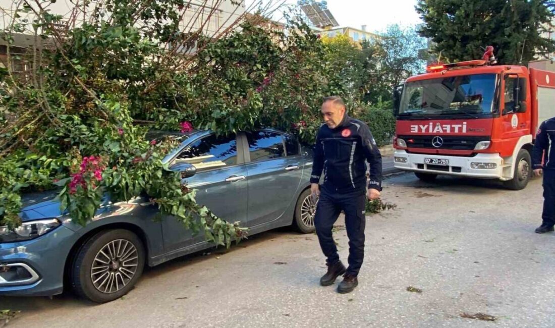 Antalya’da dün etkili olan fırtınadan dolayı devrilen ağaçlardan bazıları, araçların