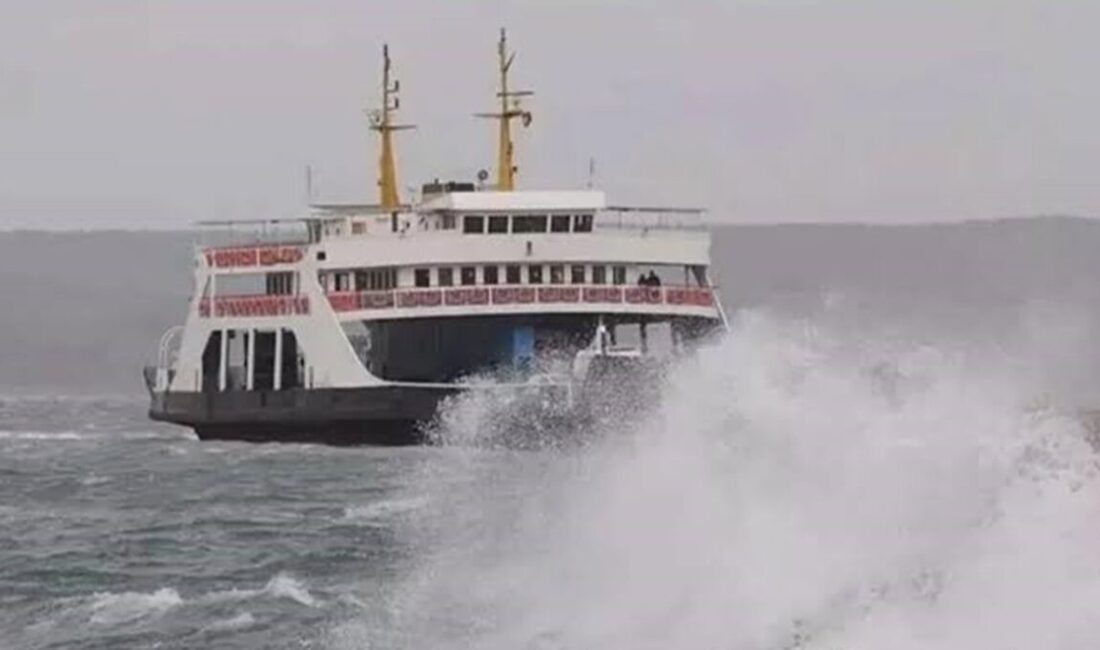 İstanbul Deniz Otobüsleri (İDO), GESTAŞ ve Marmara RoRo şirketleri, olumsuz