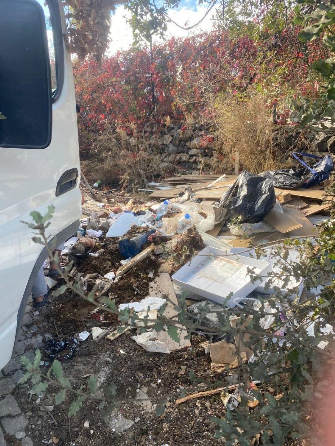 MUĞLA (AA) – Bodrum ilçesinde sokak, cadde ve doğal alanlara