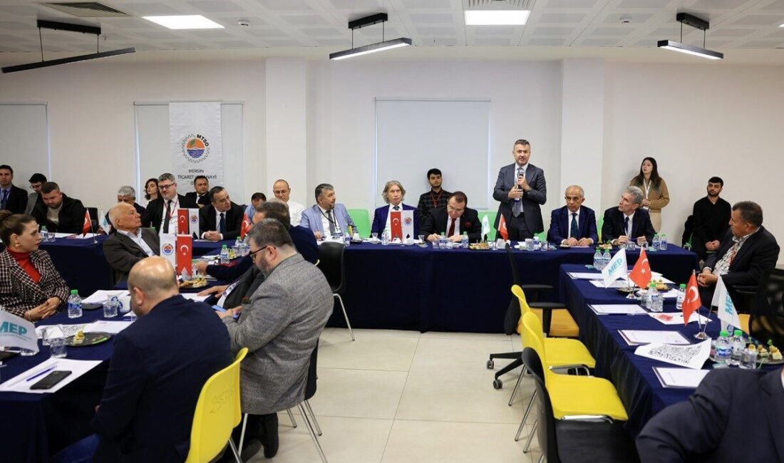 Mersin Ticaret ve Sanayi Odası (MTSO) Yönetim Kurulu Başkanı Hakan