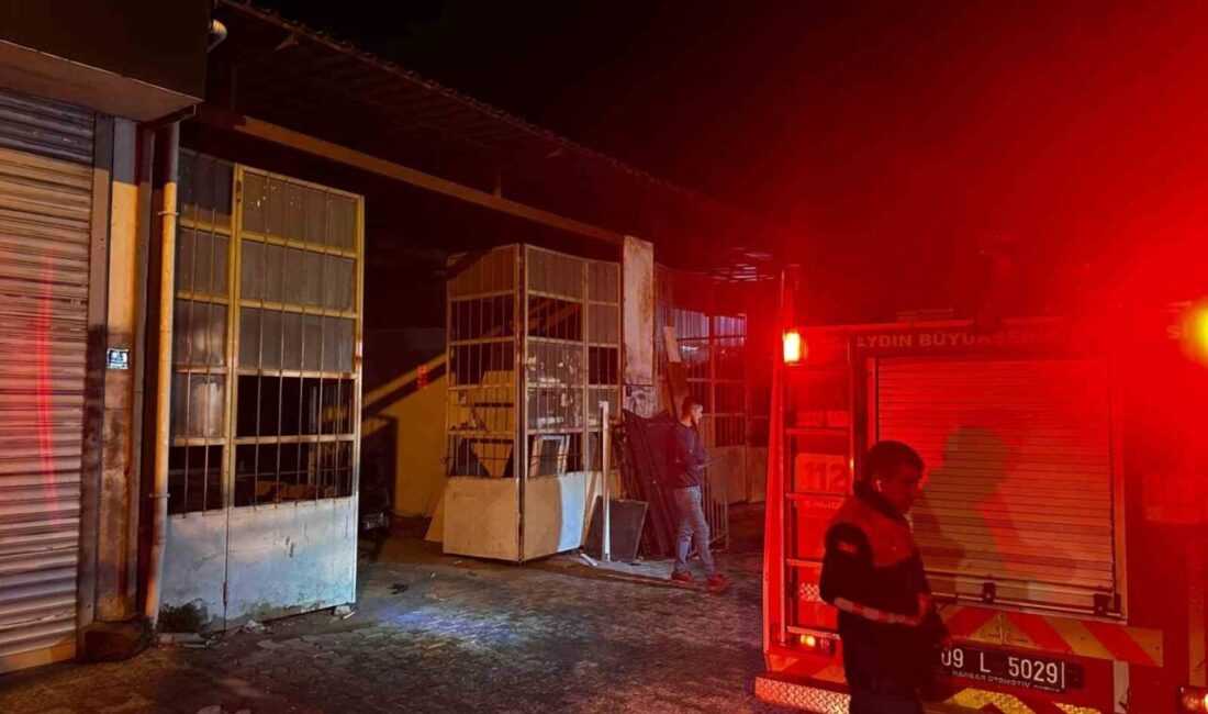 Aydın’ın Kuşadası ilçesinde Sanayi Sitesi’nde bulunan bir marangoz atölyesinde sobayı