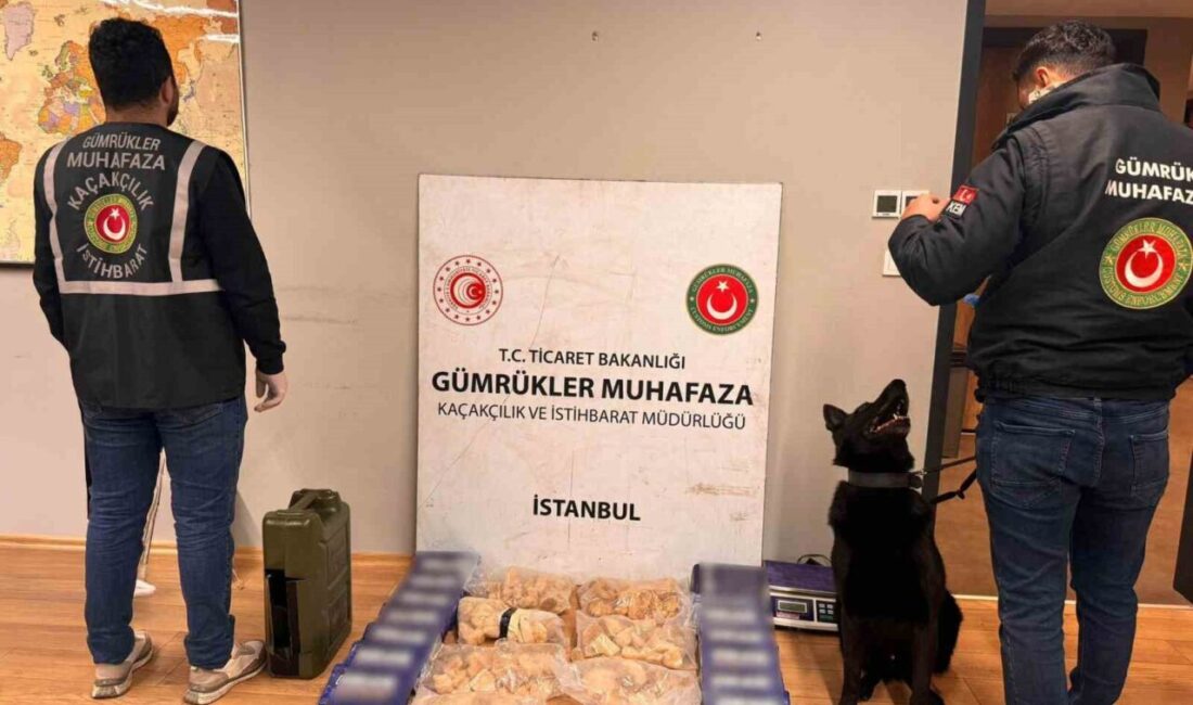 Ticaret Bakanlığı İstanbul Gümrük Muhafaza Kaçakçılık ve İstihbarat Müdürlüğü ekiplerince