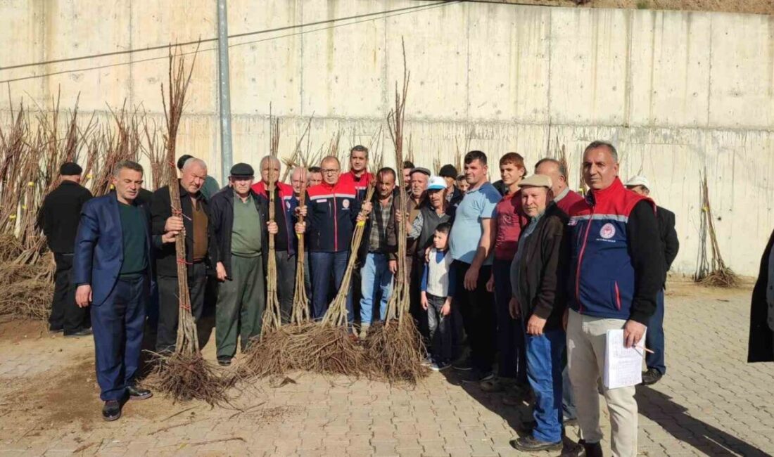 Aydın’da tarımsal üretimin artırılması ve çeşitliliğinin desteklenmesi amacıyla hayata geçirilen