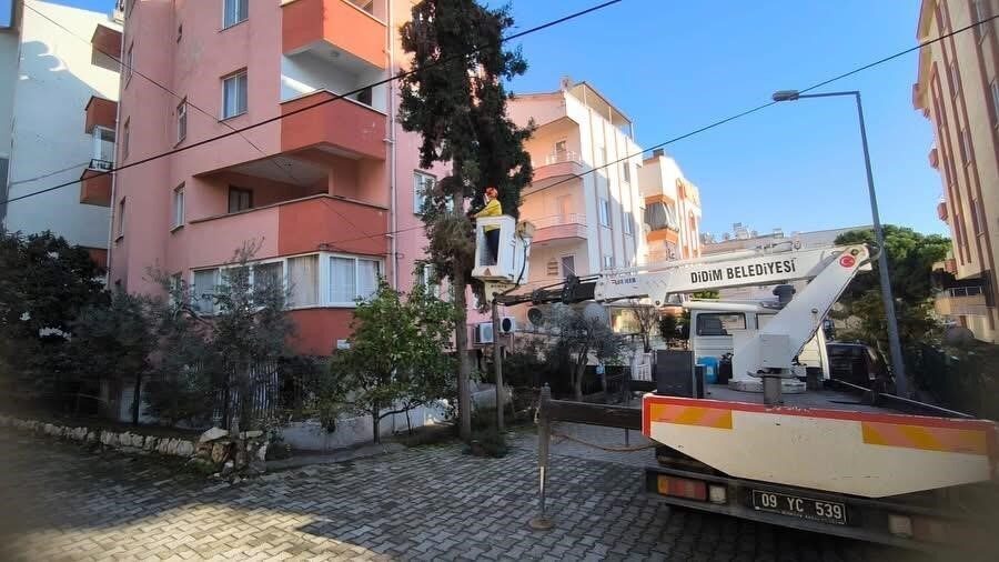 Didim Belediyesi Park Bahçeler Müdürlüğü ekipleri ilçe genelinde çalışmalarını ara