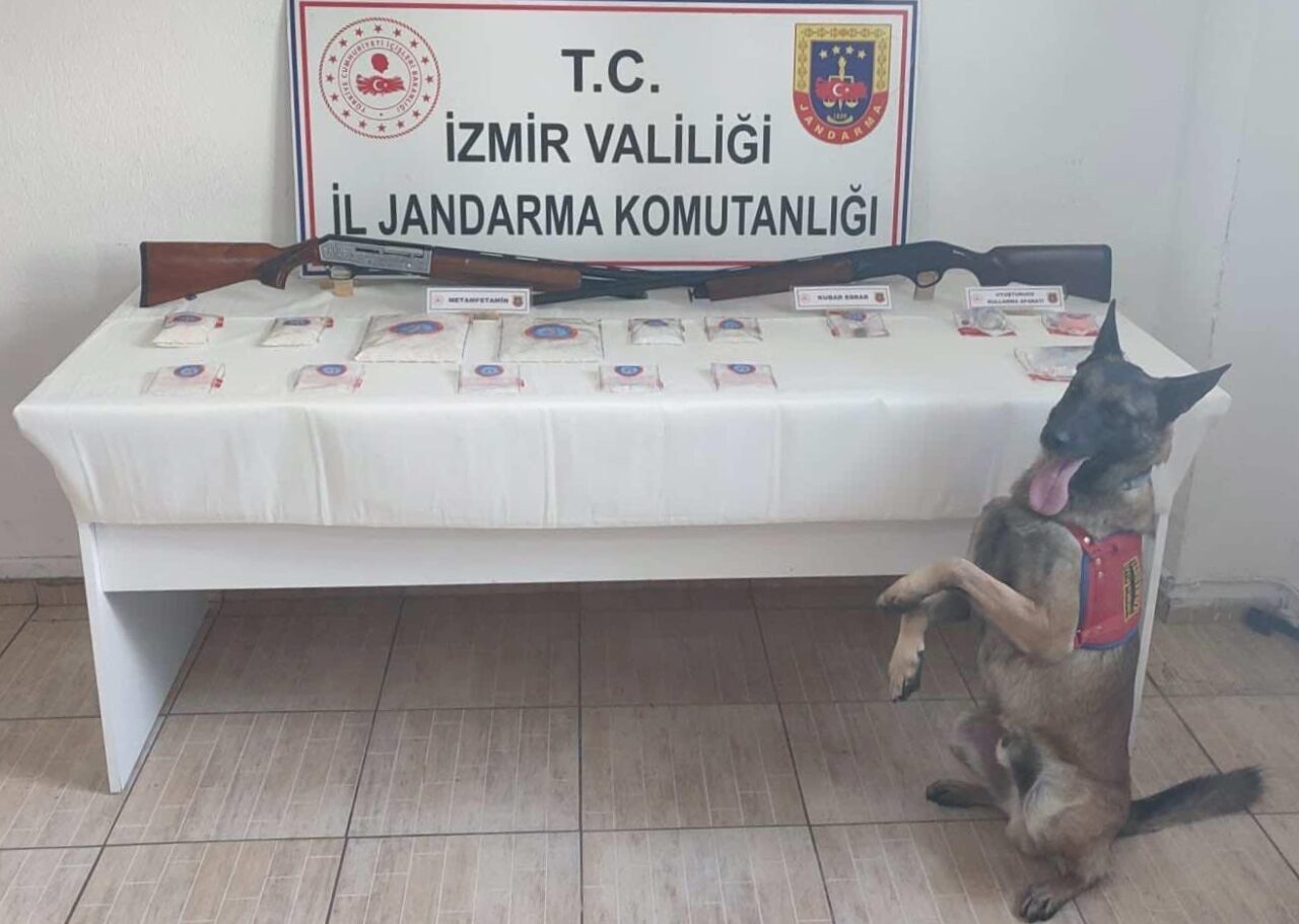 İZMİR (AA) – İzmir'in Torbalı ilçesinde düzenlenen operasyonda, ruhsatsız 2