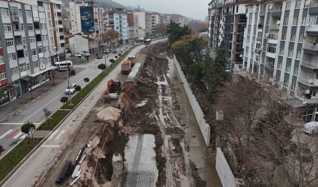 Devlet Su İşleri (DSİ) 25. Bölge Müdürü Olcay Çubukçu, Karesi