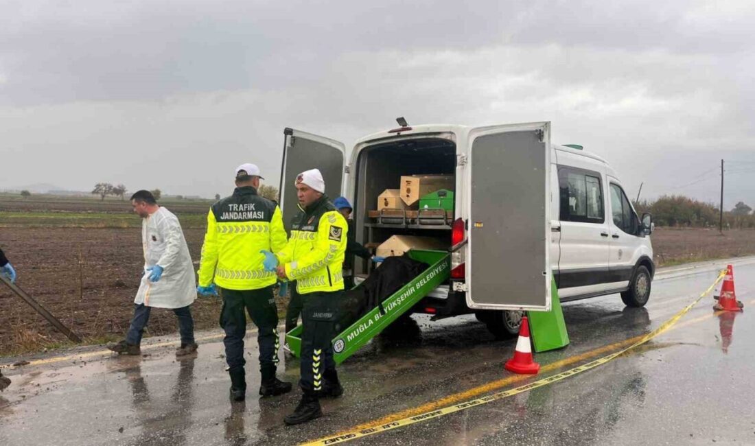 Muğla’nın Milas ilçesi Avşar Mahallesi’nde yol kenarında bulunan erkek cesedinin