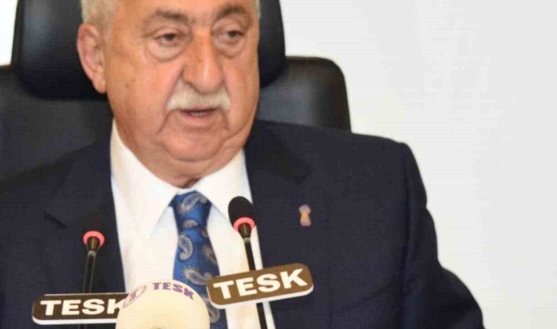 Türkiye Esnaf ve Sanatkarları Konfederasyonu (TESK) Genel Başkanı Bendevi Palandöken,