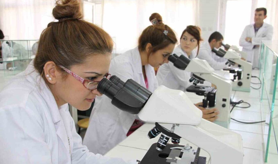 Yükseköğretimde doktora mezun sayısı bir önceki yıla göre yüzde 20’lik