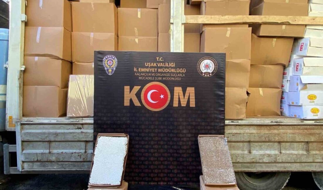Uşak’ta piyasa değeri 5 milyon TL’ye yakın 4 milyon 750