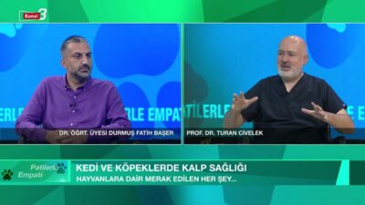 www.kanal3.com.tr Abone Olmak İçin https://www.youtube.com/kanal3tvyayincilik/?sub_confirmation=1 Mobil Uygulamalar Andorid : https://play.google.com/store/apps/developer?id=Megabirlik