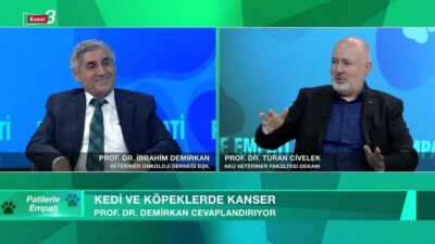 www.kanal3.com.tr Abone Olmak İçin https://www.youtube.com/kanal3tvyayincilik/?sub_confirmation=1 Mobil Uygulamalar Andorid : https://play.google.com/store/apps/developer?id=Megabirlik