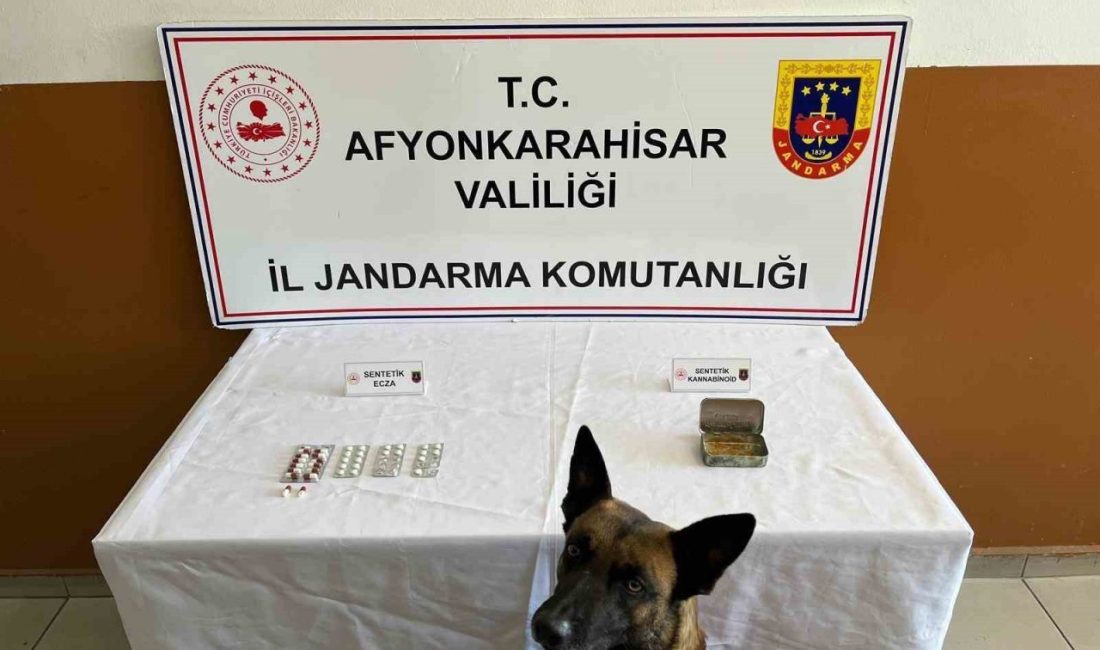 Afyonkarahisar’a uyuşturucu madde getirerek satmak isteyen iki şüpheli şahıs jandarma