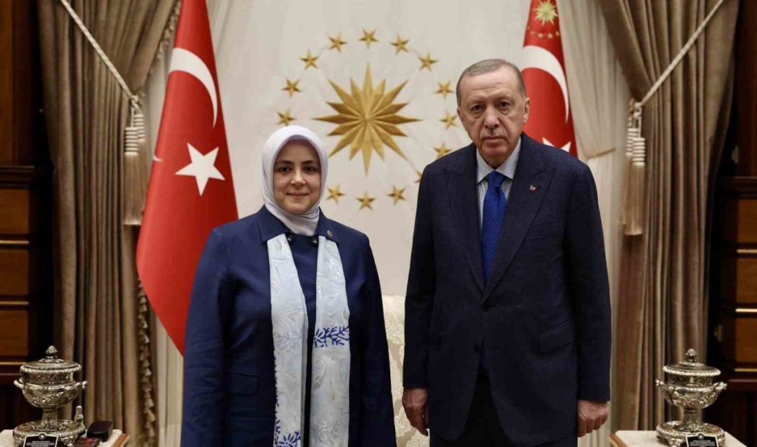 AK Parti Genel Başkan Yardımcısı ve Teşkilat Başkanı Erkan Kandemir,