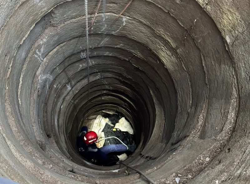 Balıkesir’in Gömeç ilçesinde bir büyükbaş hayvan, düştüğü kuyudan itfaiye ekipleri