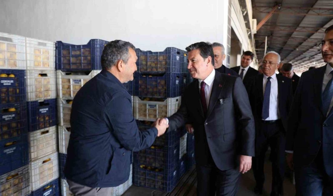 Muğla Büyükşehir Belediye Başkanı Ahmet Aras, Fethiye’deki çalışmaları yerinde inceledi.