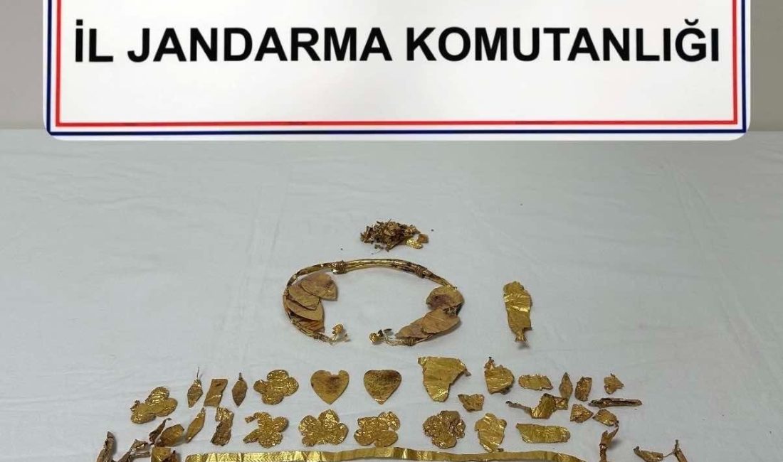 Denizli’de jandarma ekiplerinin kültür ve tabiat varlığı kaçakçılığının önlenmesine yönelik