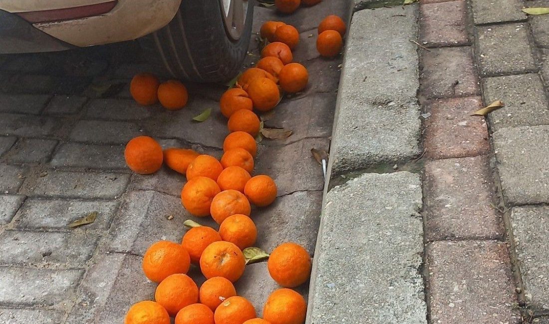 Aydın’ın merkez ilçesi Efeler’in sembolü haline gelen ve bir zamanlar