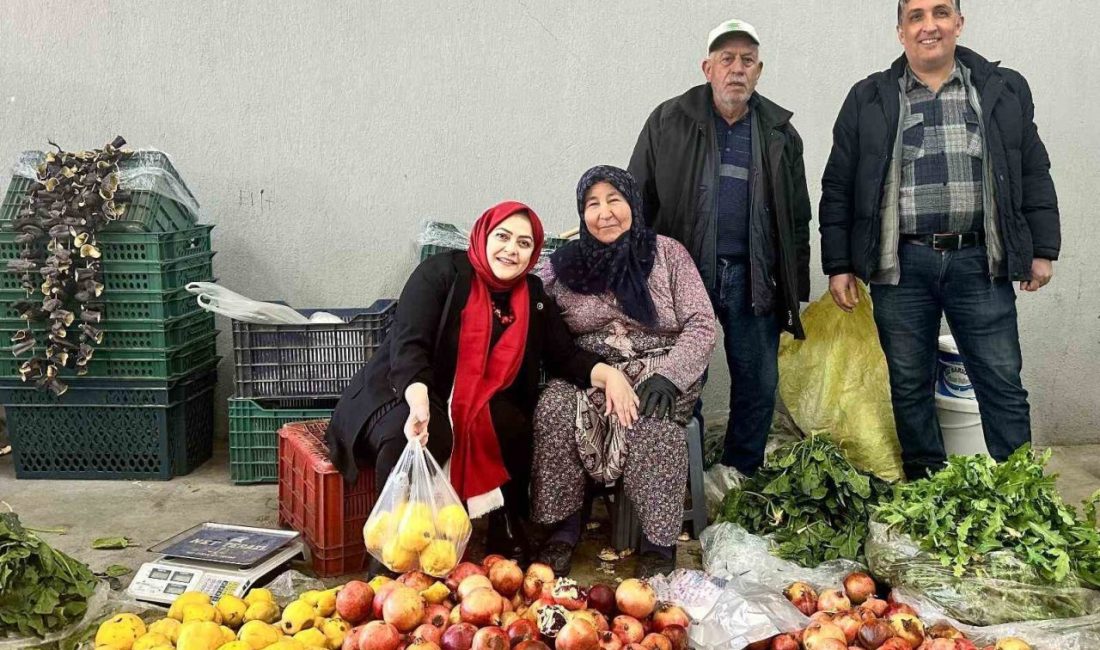 Denizli Milletvekili Sema Silkin Ün, Türkiye Büyük Millet Meclisi (TBMM)