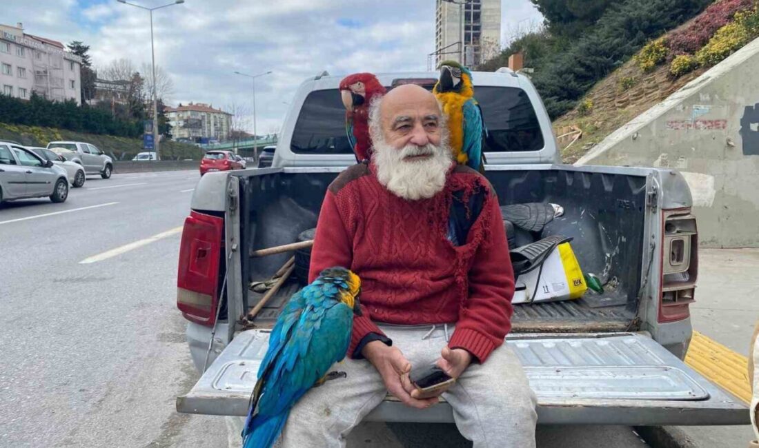 İstanbul’un Beykoz ilçesinde omzunda papağanlarıyla gezen İsmail Karamustafa (70), vatandaşların