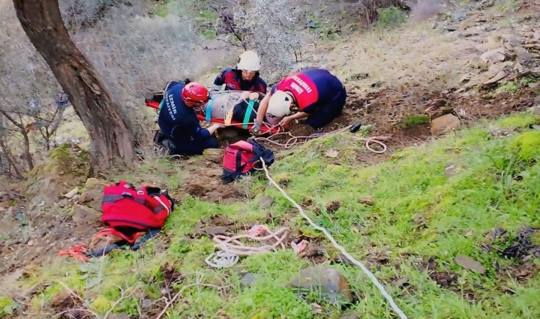 İzmir’in Bayındır ilçesinde dengesini kaybederek düştüğü dik yamaçta mahsur kalan