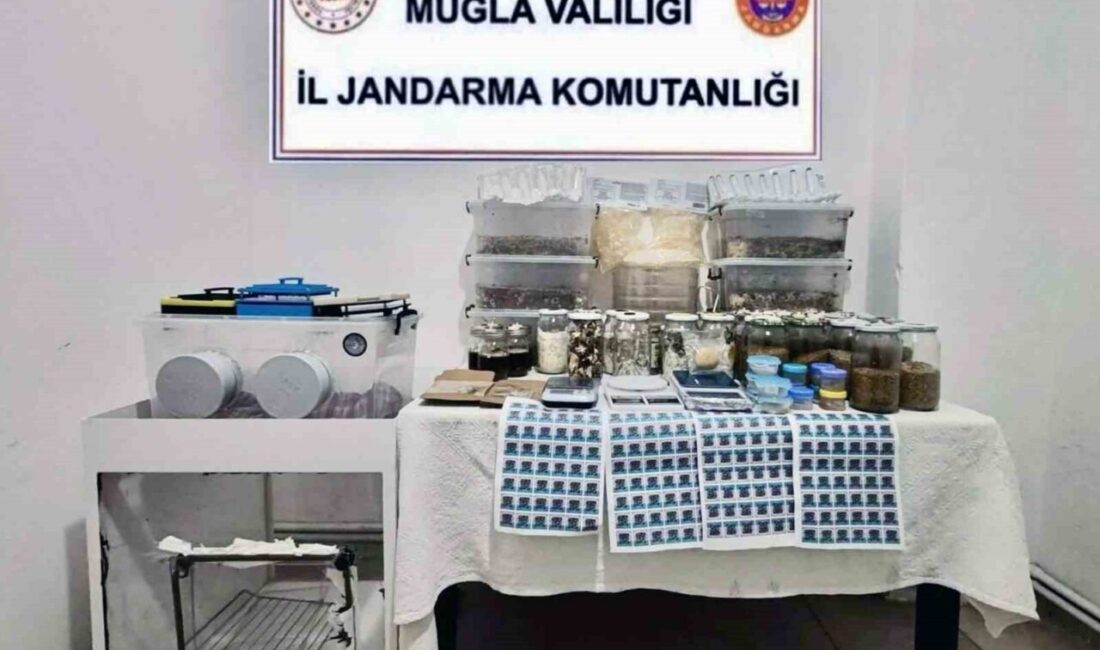 Muğla’nın Köyceğiz ilçesinde dünyanın en tehlikeli uyuşturucu maddesi olarak kabul
