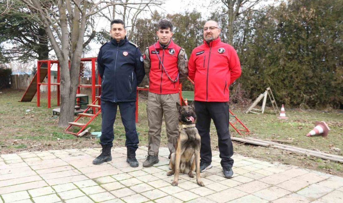 Eskişehir Büyükşehir Belediyesi (EBB) İtfaiye Dairesi Başkanlığı’nın K-9 arama kurtarma