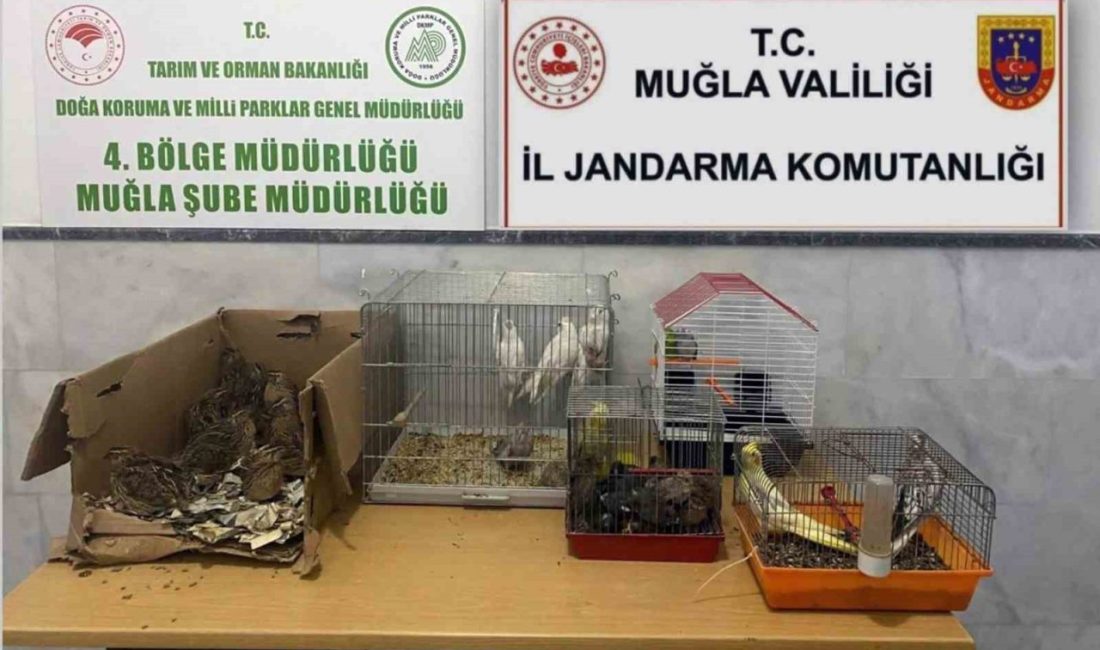 Muğla, Menteşe İlçesi Yerkesik Mahallesinde faaliyet gösteren bir kahvehanede M.H.