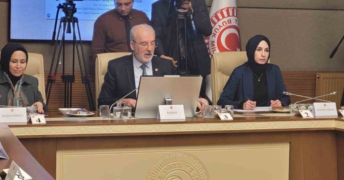 TBMM Kadına Karşı Şiddet ve Ayrımcılığın Önlenmesine Yönelik Meclis Araştırma