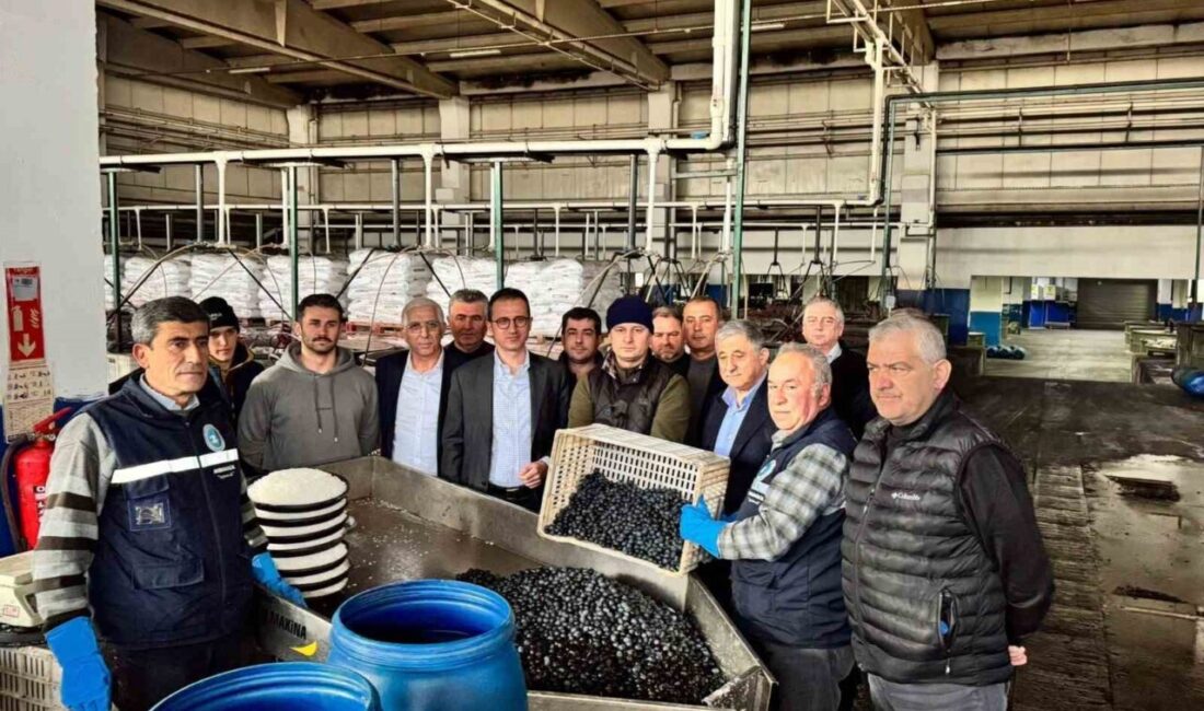 İznik Kaymakamı Arif Karaman, 2024/25 ürün alım kampanyasının devam ettiği