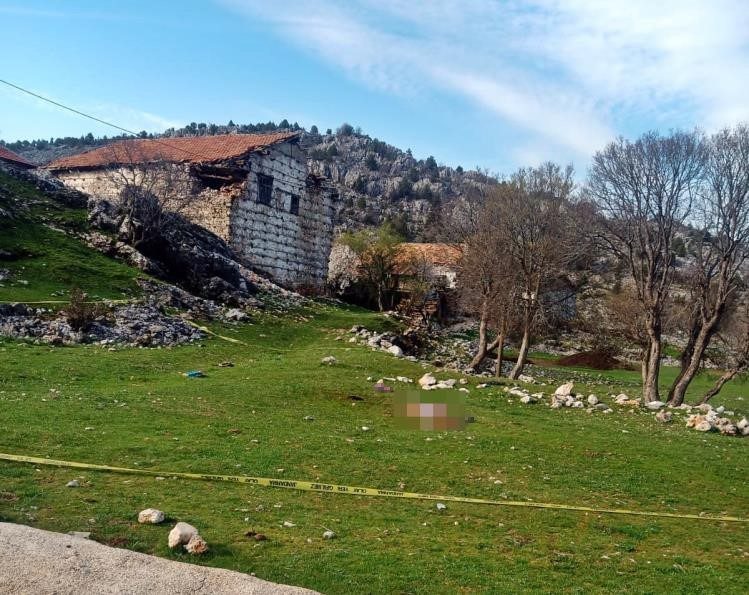 Antalya’nın Akseki ilçesinde mezarlık ziyaretine giden ve çoban köpeklerini saldırısında