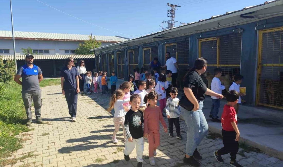 Odunpazarı Belediyesi’ne bağlı kreş öğrencileri, Yassıhöyük Mahallesi’ndeki Odunpazarı Belediyesi Sahipsiz