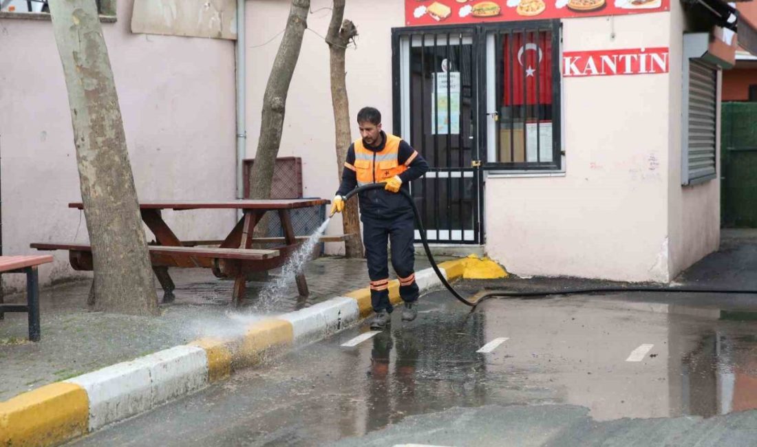 Küçükçekmece Belediyesi Veteriner İşleri Müdürlüğü, sömestr tatili boyunca ilçede bulunan
