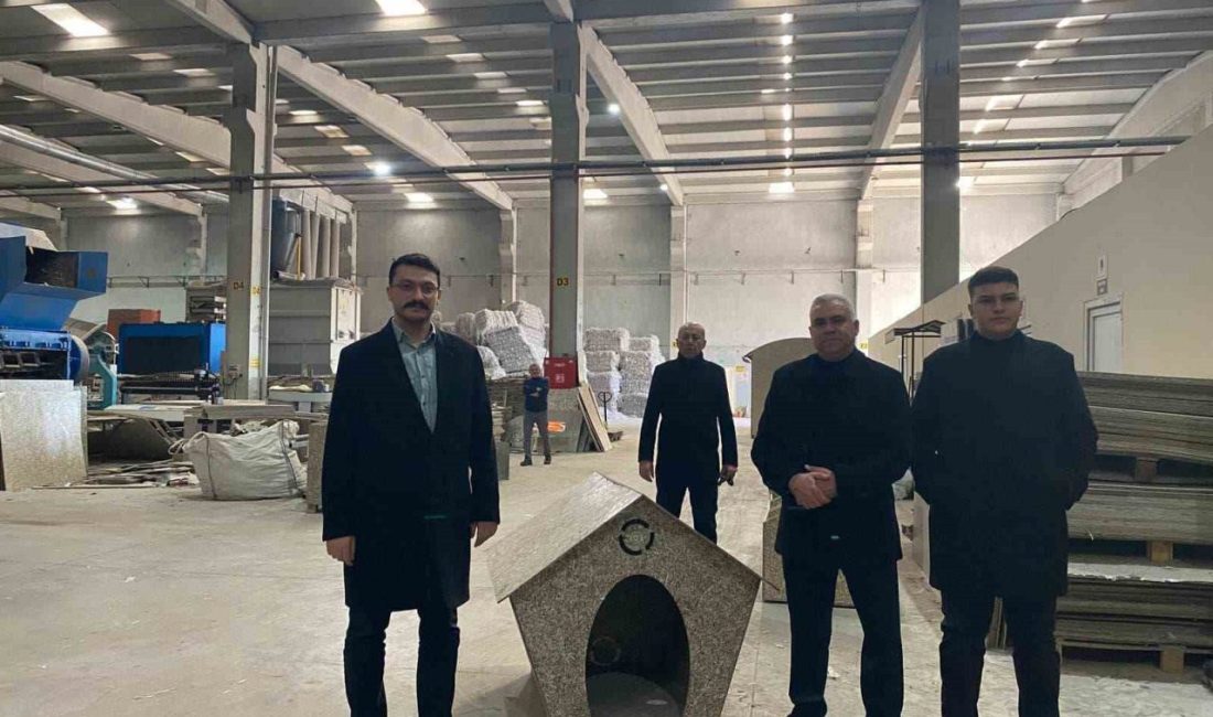 Afyonkarahisar’ın Emirdağ ilçesinde bir geri dönüşüm firması sahipsiz köpeklerin korunması