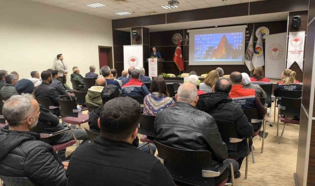 Aydın’ın Söke ilçesinde önemli ıtrî ve tıbbi bitkilerinden olan defne