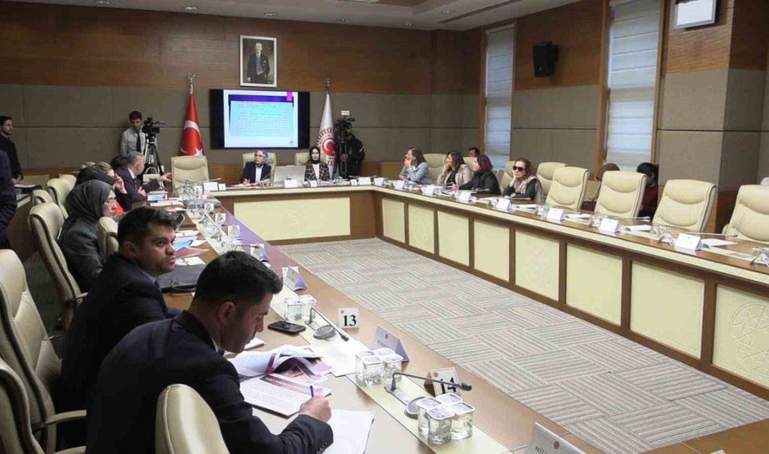 TBMM Kadına Karşı Şiddet ve Ayrımcılığı Araştırma Komisyonu’nda konuşan Prof.