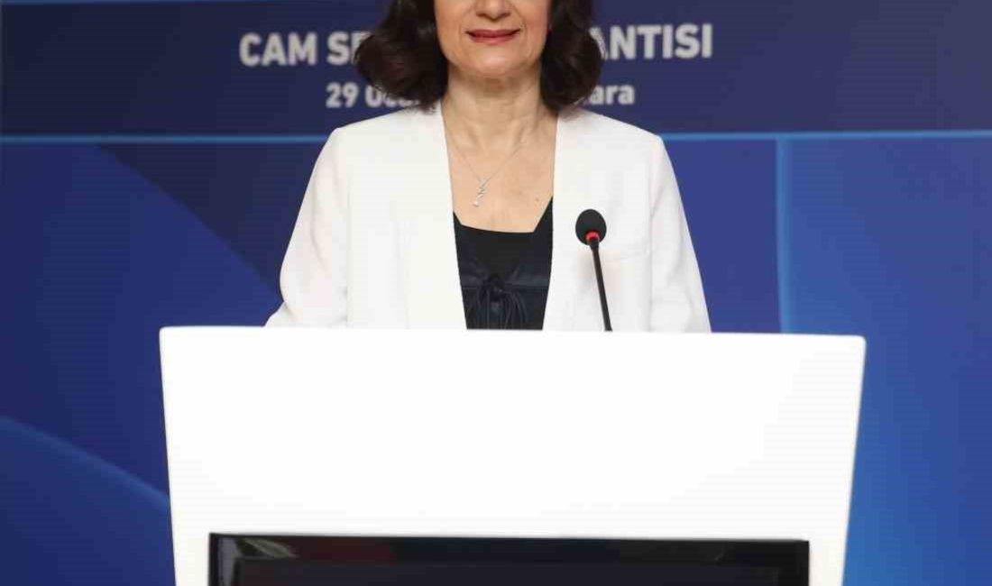 Türk cam sektörü, yerli üretimin haksız rekabet oluşturan ithalata karşı