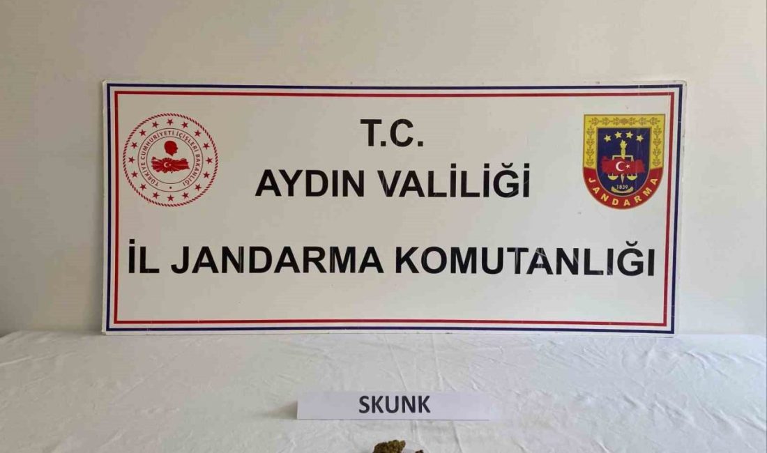 Aydın’ın üç ilçesinde uyuşturucu kullandıkları tespit edilen şahıslar hakkında adli