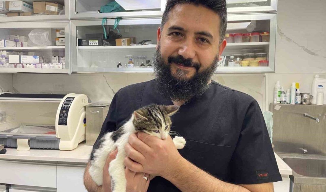 Eskişehir’de 14 yıldır veteriner hekim olarak görev yapan Mustafa Sayın,