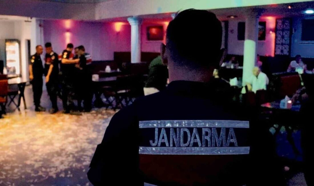 Afyonkarahisar İl Jandarma Komutanlığı ekipleri yaptıkları uygulamalar çerçevesinde 7 bin