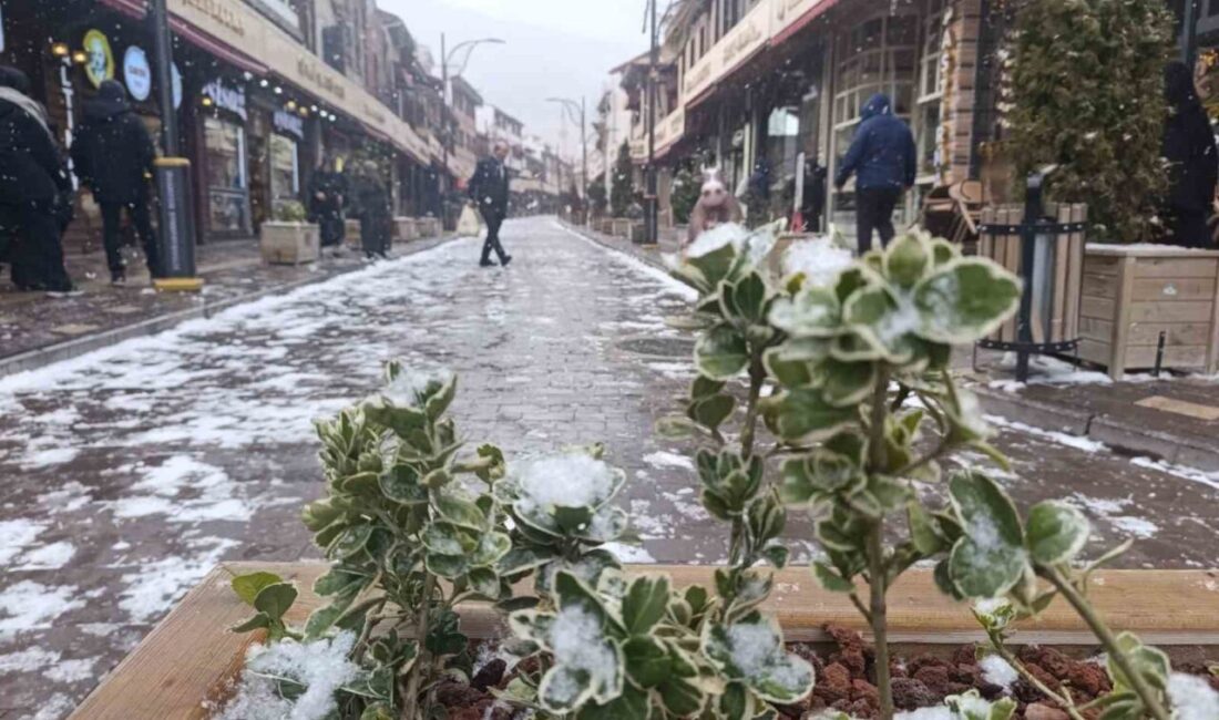 Afyonkarahisar’da aniden bastıran kar yağış etkili olmaya başlarken, kent birkaç