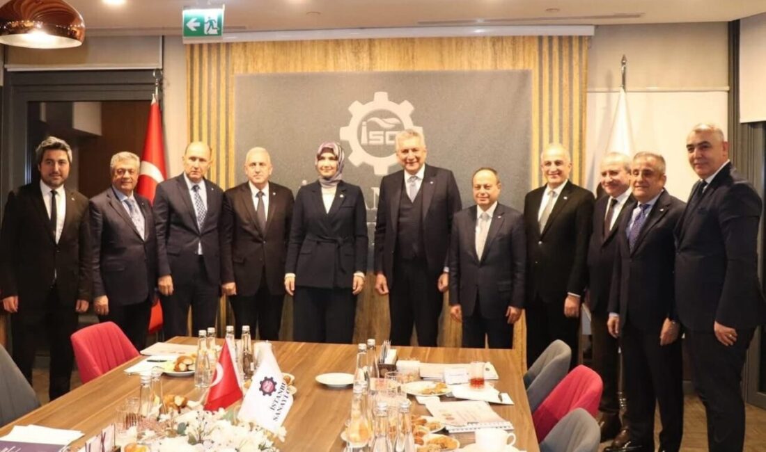 Afyonkarahisar Merkez 2. OSB ile Çay-Çobanlar-Bolvadin Jeotermal Kaynaklı Sera Tarıma