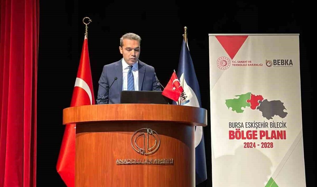 Bursa Eskişehir Bilecik Kalkınma Ajansı (BEBKA) tarafından hazırlanan 2024-2028 TR41