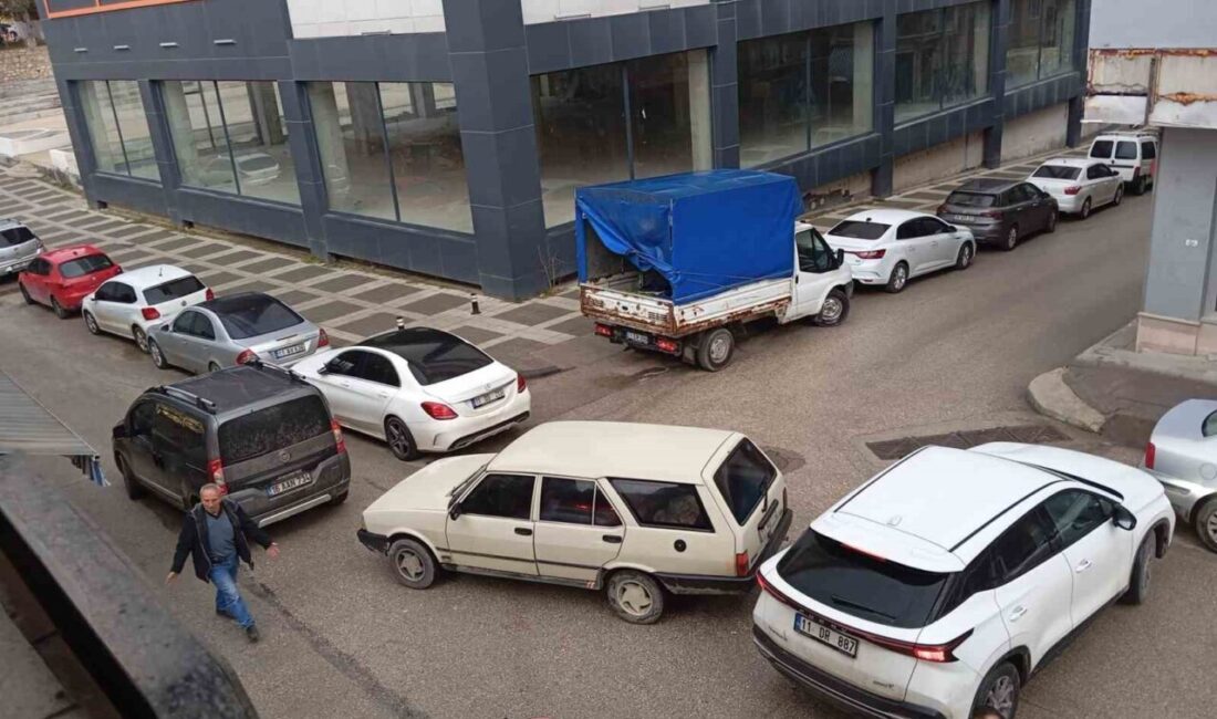 Bilecik’te yolun ortasına dörtlülerini yakarak hatalı park yapan duyarsız sürücüler
