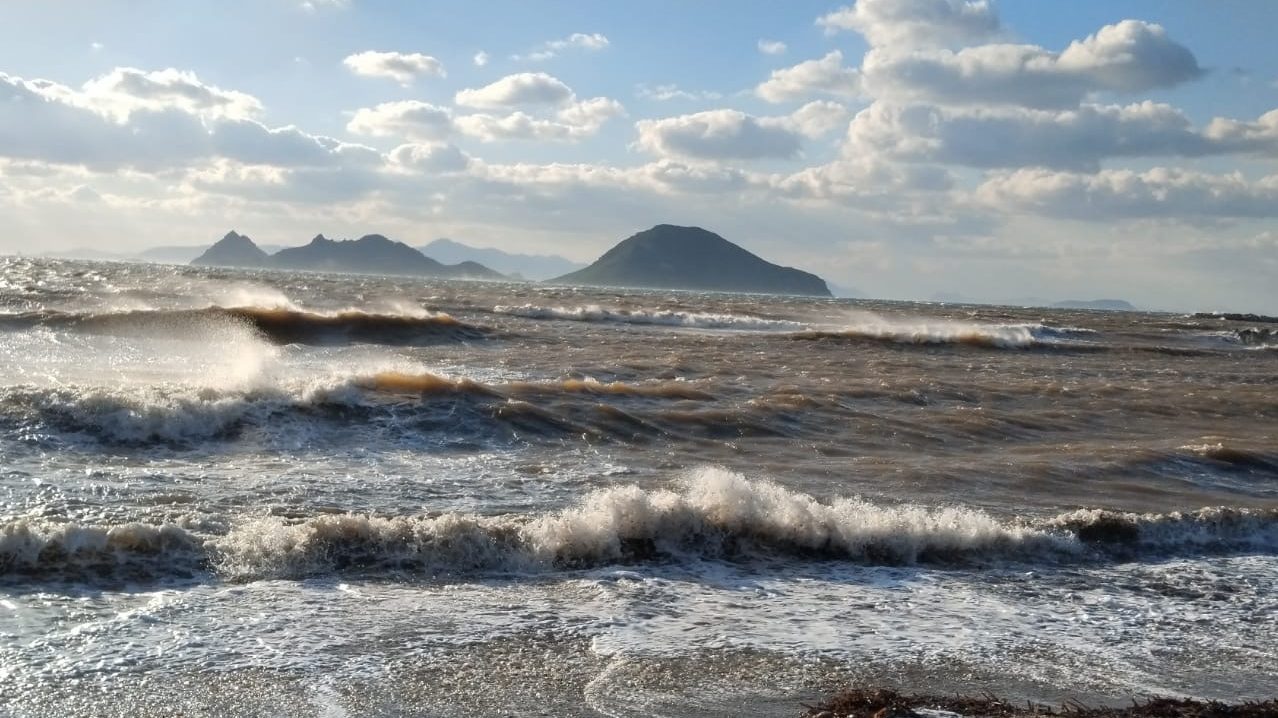 MUĞLA (AA) – Muğla'nın Bodrum ilçesinde fırtına yaşamı olumsuz etkiledi.