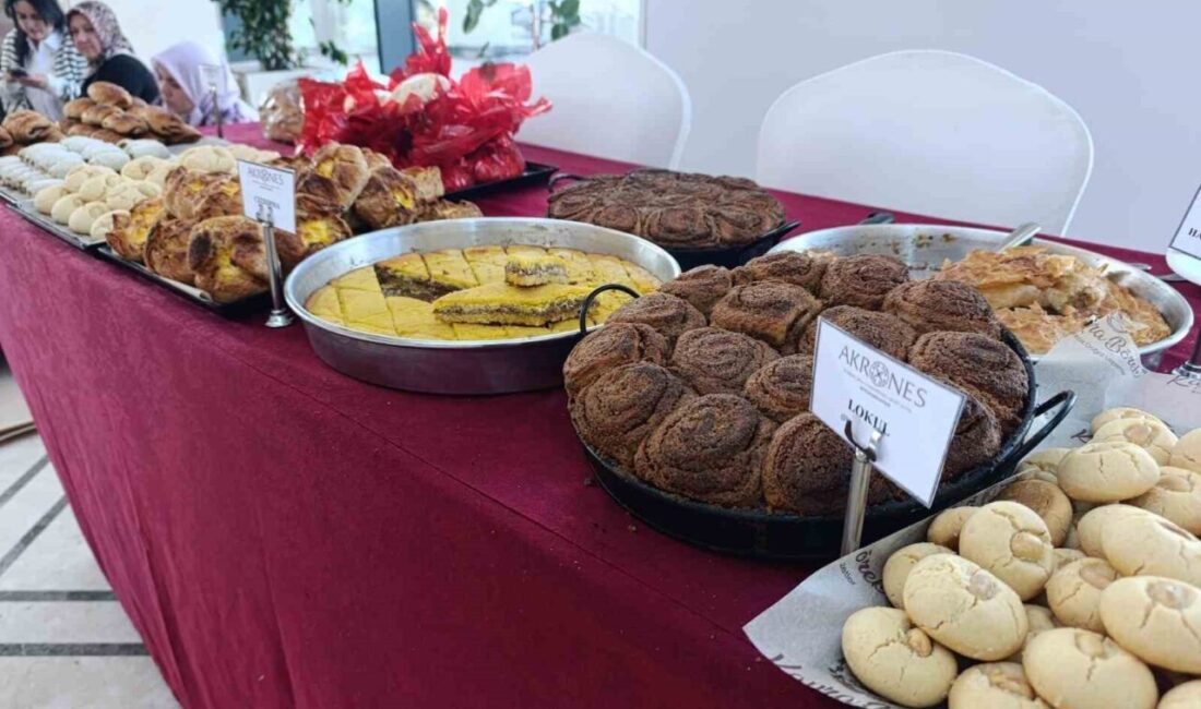 Türkiye ile birlikte dünyaca bilinen ‘Afyon Haşhaşı’ ‘Anadolu’daki Bereket, Birikim