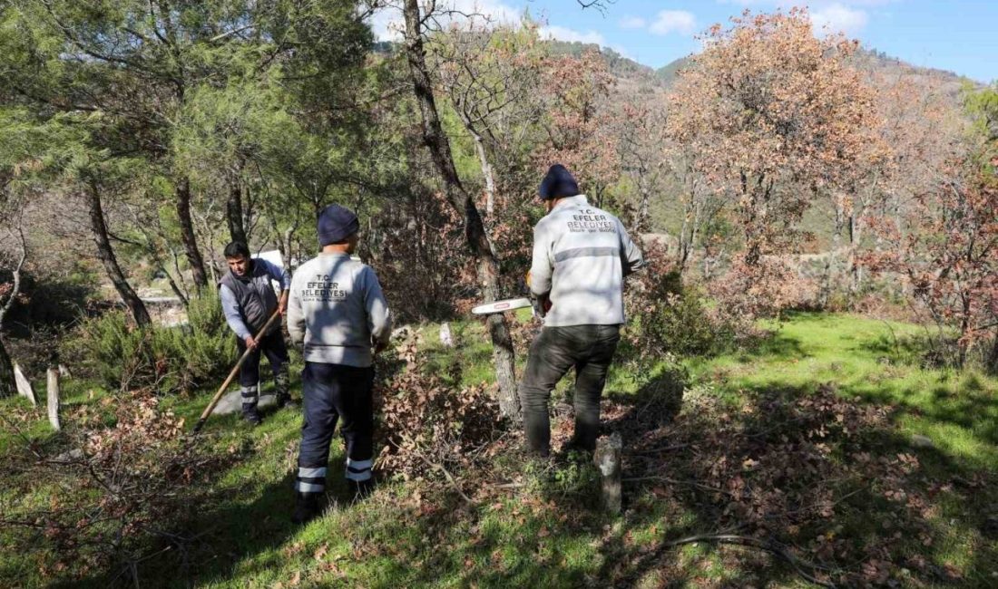 Efeler Belediyesi Mezarlık İşleri Müdürlüğü personeli, Gölcük Mahallesi mezarlığında kapsamlı