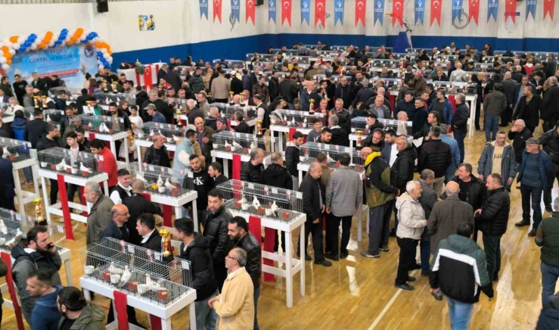 Esenler Belediyesi katkılarıyla ilk defa düzenlenen Güvercin Festivali coşkulu bir
