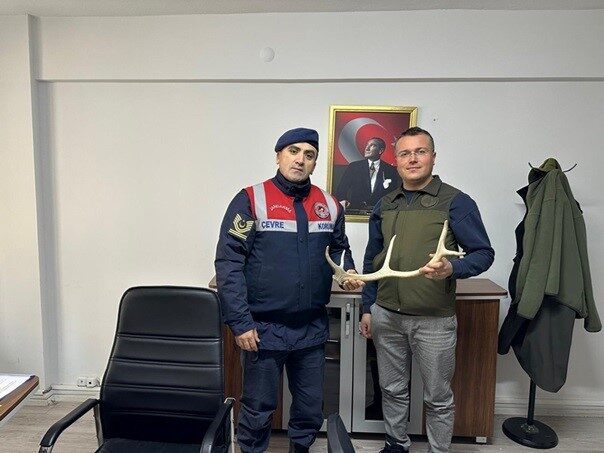 Eskişehir’de sosyal medya üzerinde gecik boynuzu satan şüpheli jandarma tarafından